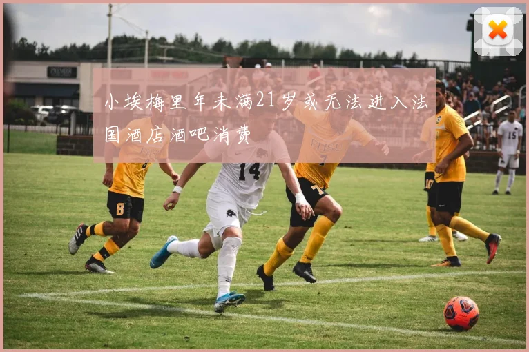 小埃梅里年未满21岁或无法进入法国酒店酒吧消费